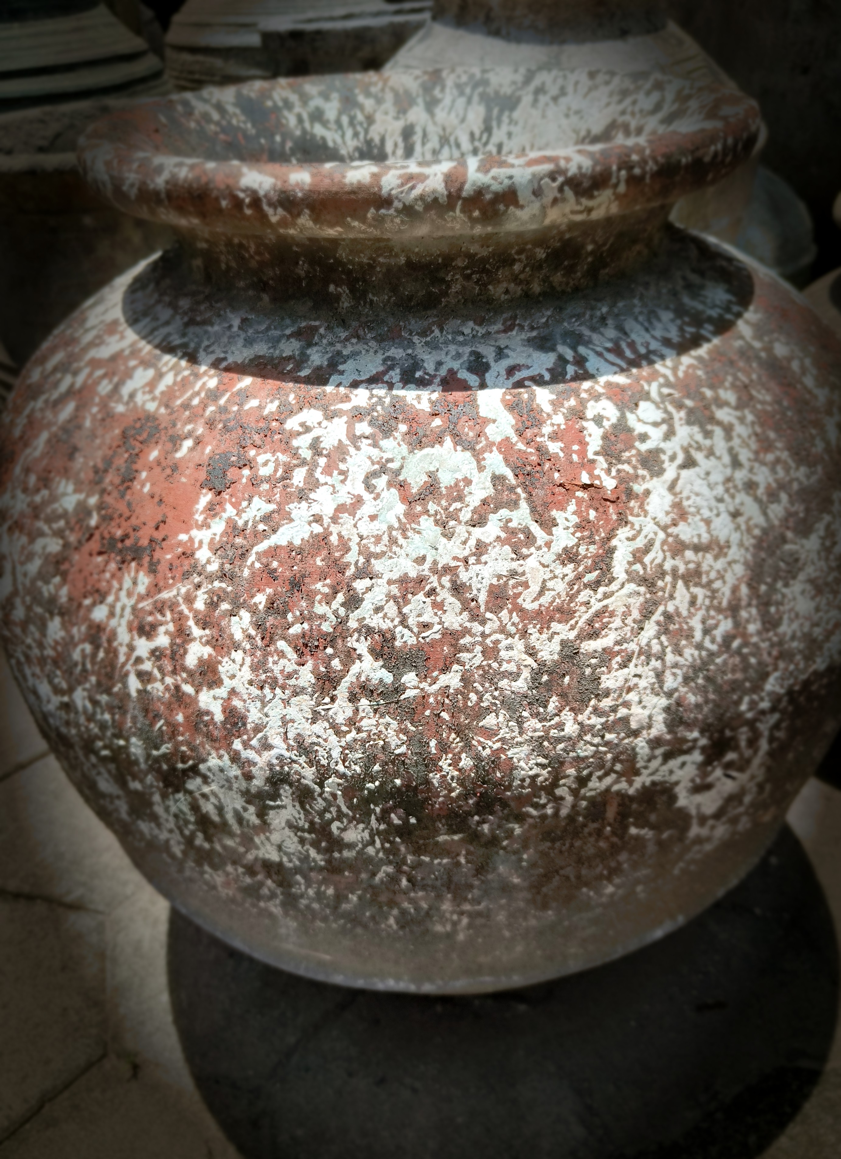 Wide Carved Bowl
