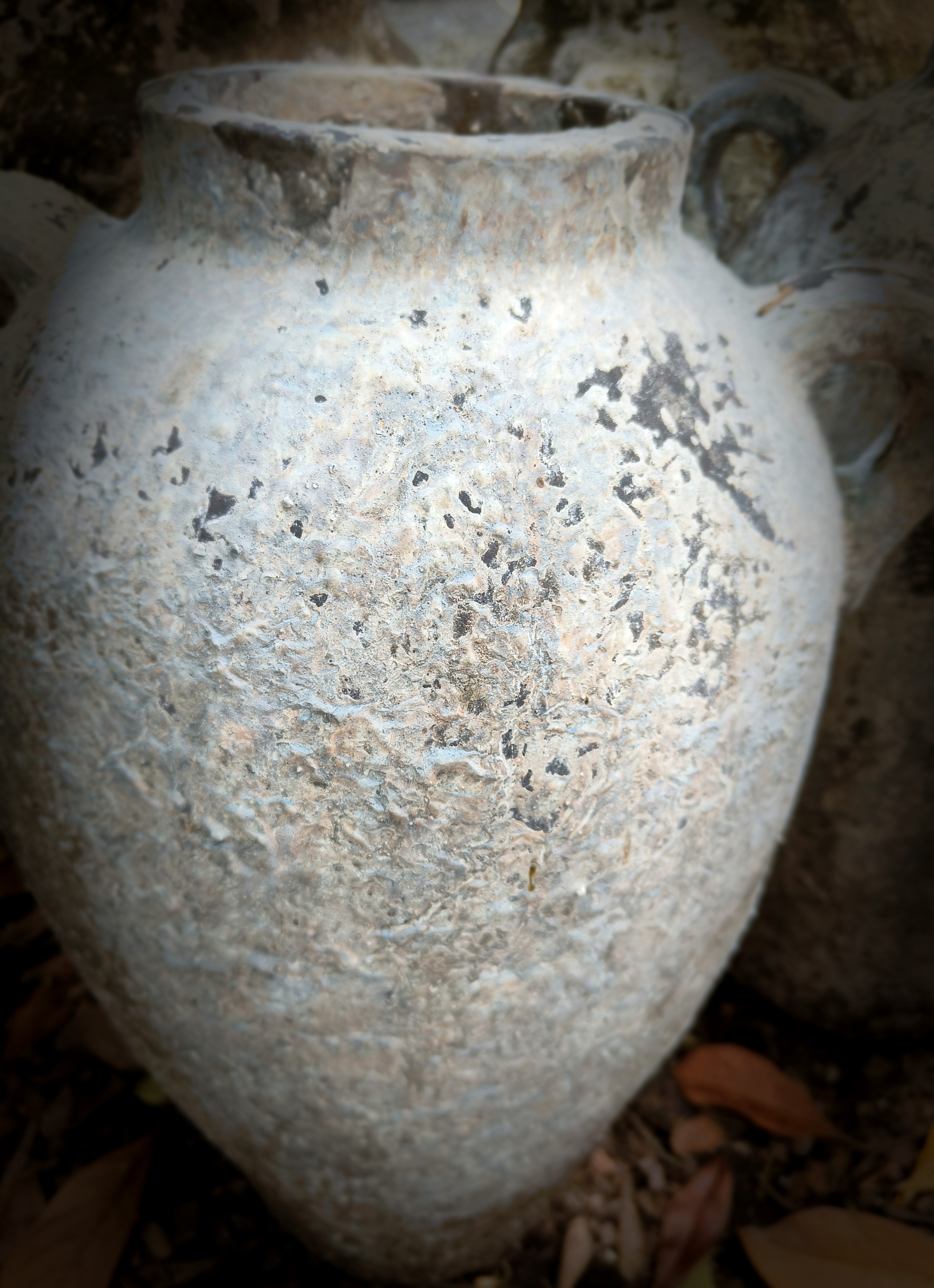 Wide Belly Pot